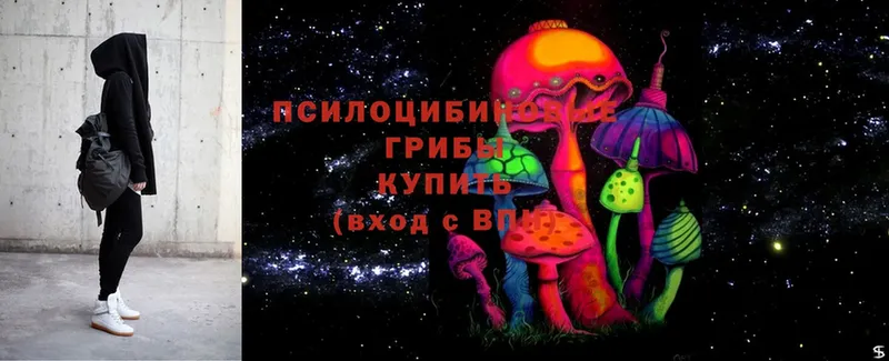 Псилоцибиновые грибы MAGIC MUSHROOMS  ОМГ ОМГ как войти  Чебоксары 